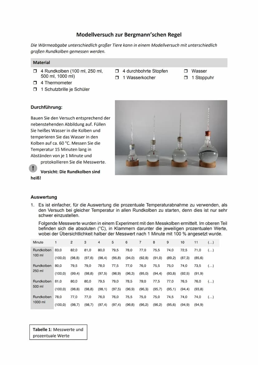 2. Zur Berechnung wird zunächst der Radius der Rundkolben bestimmt. Dazu legt man ein
Stück Bindfaden in der Mitte um den Rundkolben und bes
