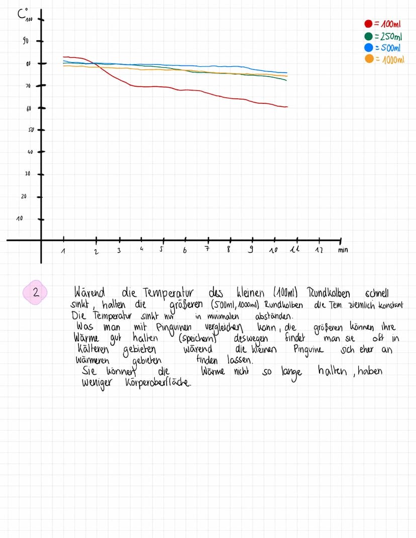 2. Zur Berechnung wird zunächst der Radius der Rundkolben bestimmt. Dazu legt man ein
Stück Bindfaden in der Mitte um den Rundkolben und bes