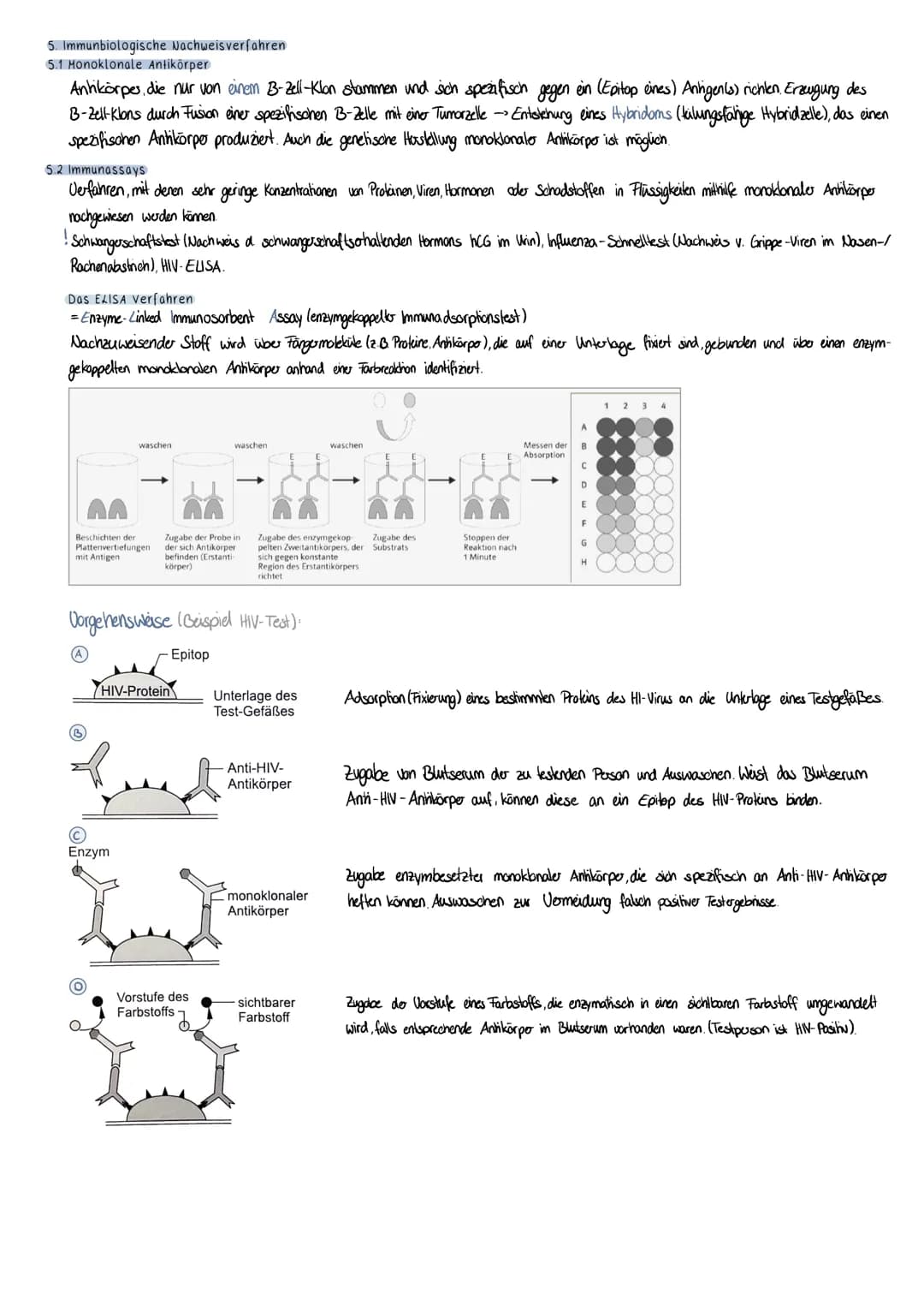 V. Immunbiologie
1. Krankheitserreger
Bakterien:
- einzellige Organismen; Innenleben mit Erbgut +, Fabrikationsanlage"
-eigenen Stoffwechsel