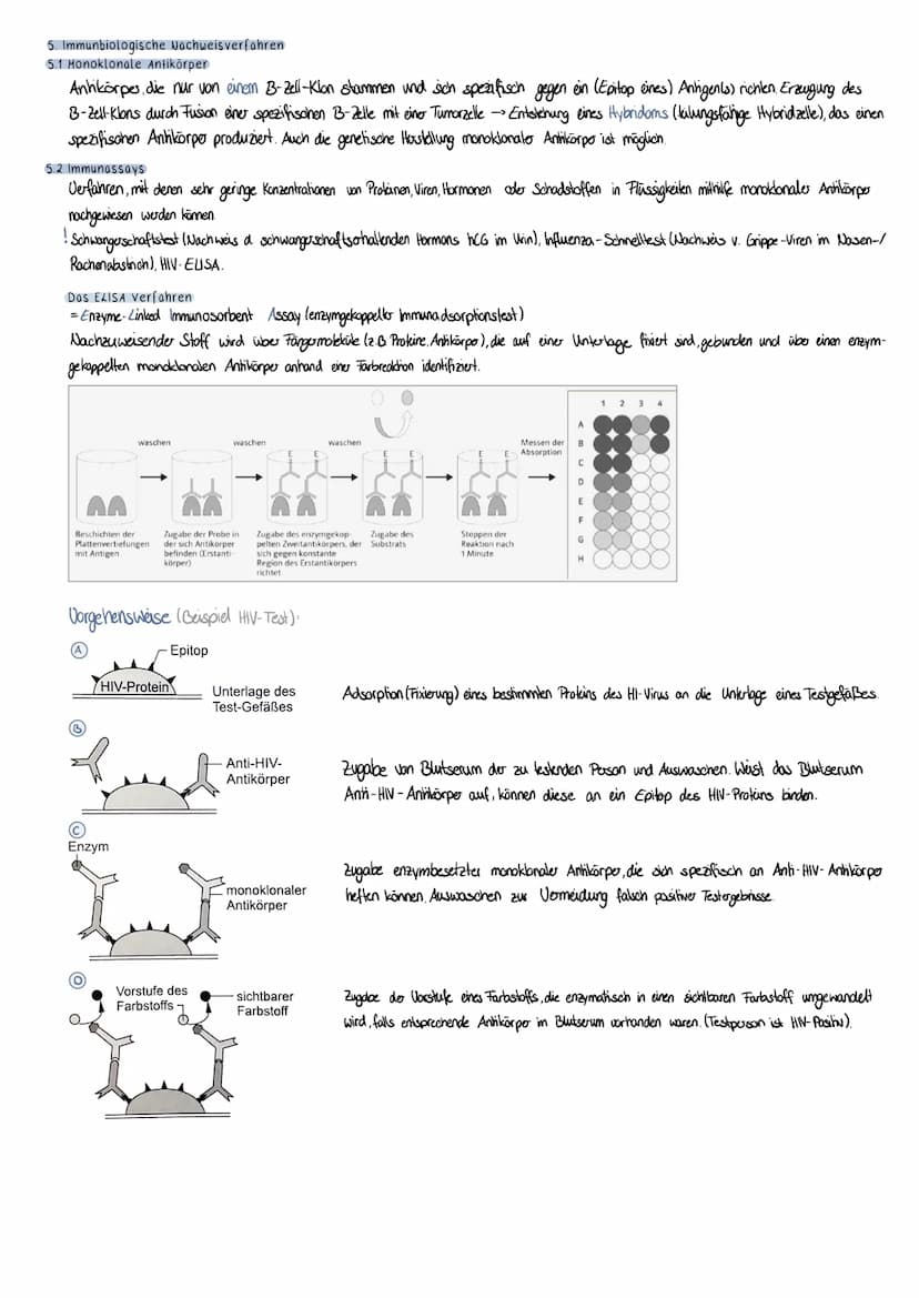 V. Immunbiologie
1. Krankheitserreger
Bakterien:
- einzellige Organismen; Innenleben mit Erbgut +, Fabrikationsanlage"
-eigenen Stoffwechsel