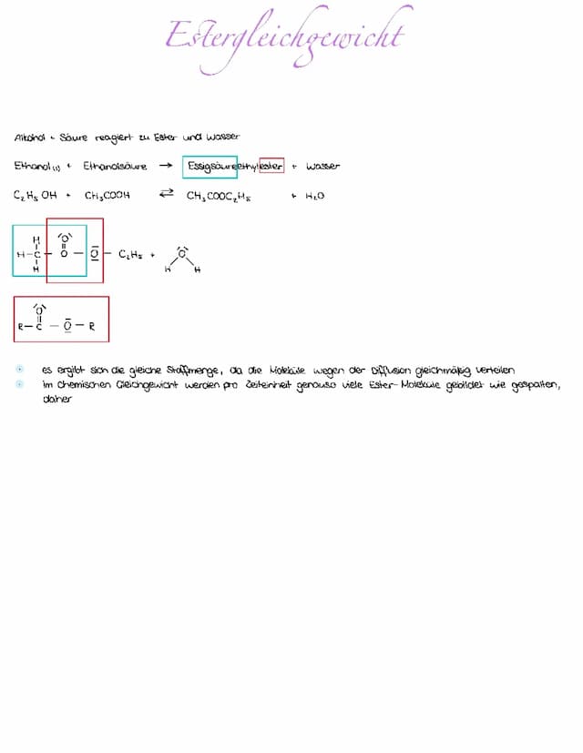 Know Estergleichgewicht  thumbnail