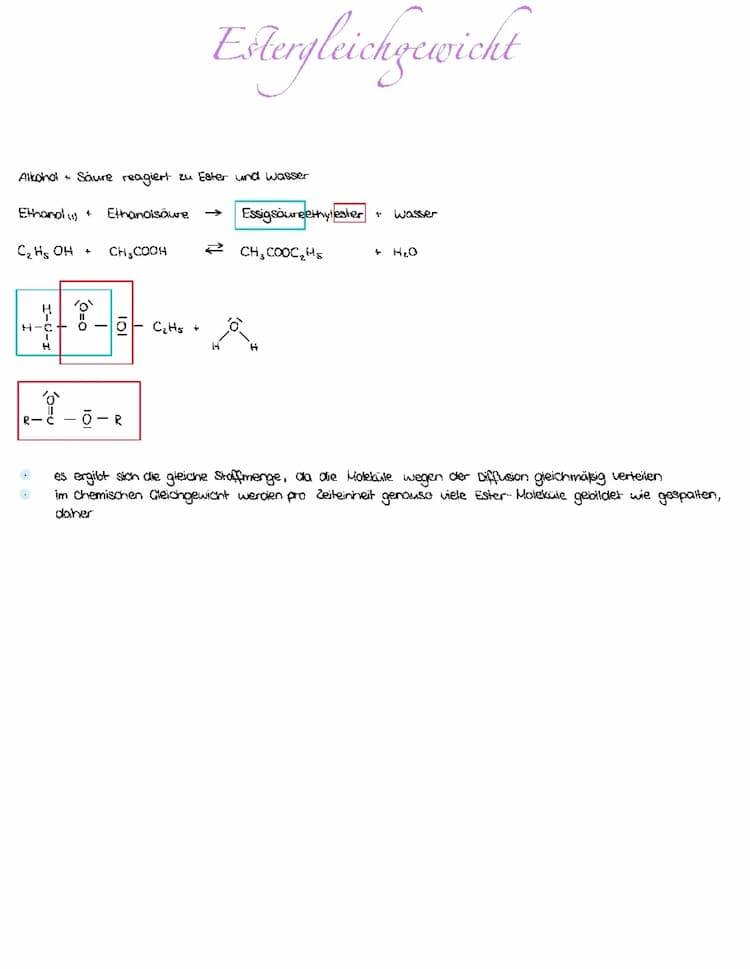 Know Estergleichgewicht  thumbnail