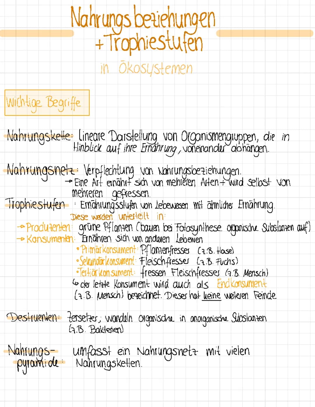 Nahrungsbeziehungen - Ökologie 