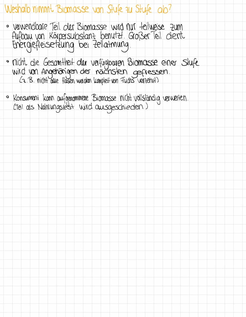 Nahrungsbeziehungen
+ Trophiestufen
in Ökosystemen
Wichtige Begriffe
Nahrungskette Lineare Darstellung von Organismengruppen, die in
Hinblic