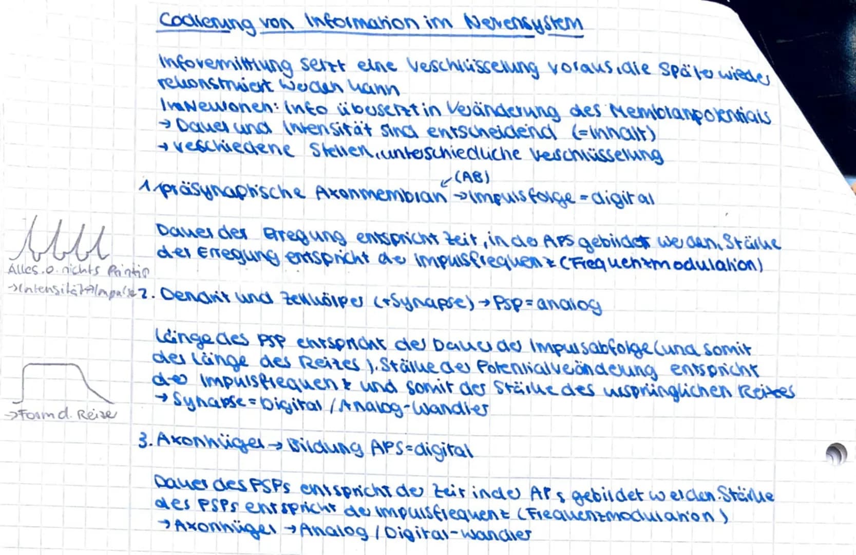 Codierung von Information im Nevensystem
Infovermittlung setzt eine Veschlüsselung voraus, dle späte wieder
rekonstruiert werden hann.
Formd