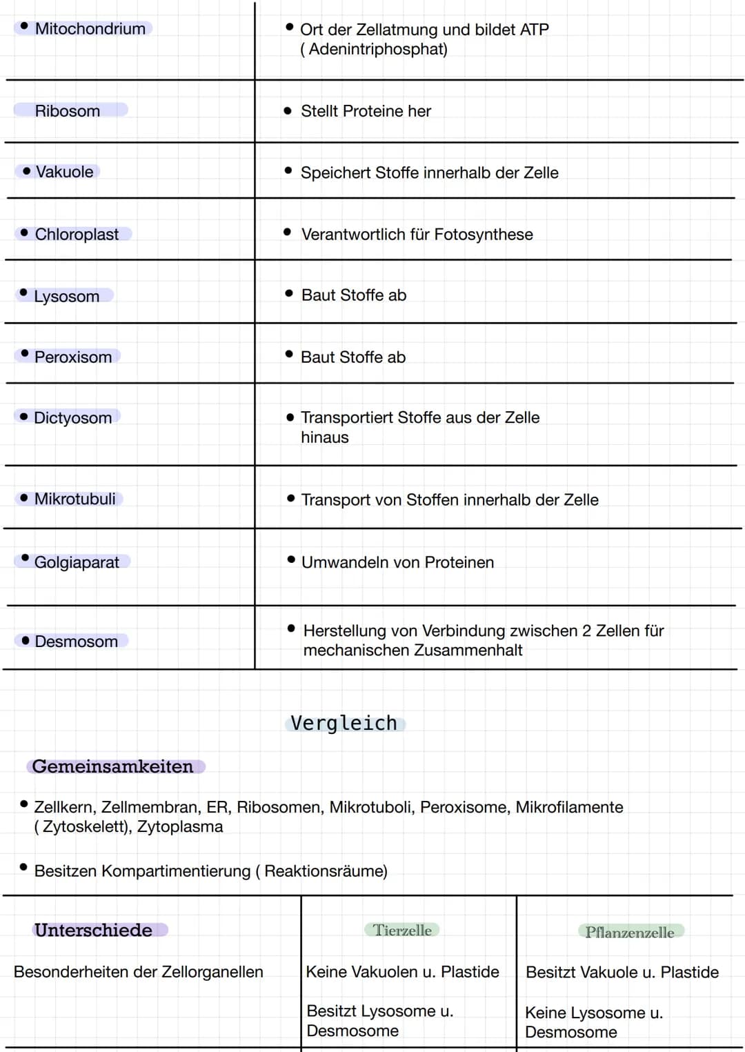 Tierische Zelle
Mitochondrium
Peroxisom
Centriolen
Mikro-
tubuli
Lysosom
tight junction"-
Dictyosom
Organelle
• Endoplasmatische
Reticulum (