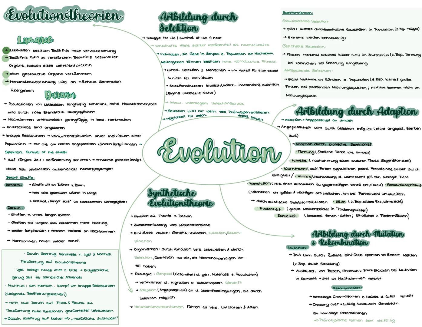 # Evolutionstheorien

Lamarck

*   Lebewesen besitzen Bedürfnis nach vervollkommung
*   →Bedürfnis führt au verstärktem Bedürfnis bestimmter