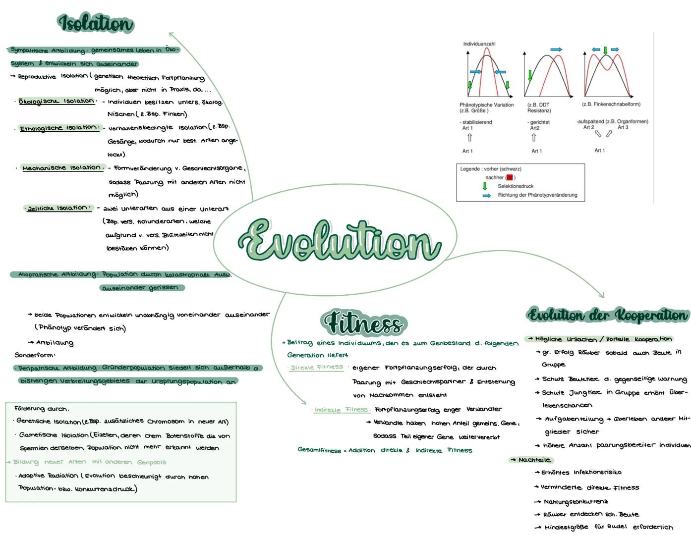 # Evolutionstheorien

Lamarck

*   Lebewesen besitzen Bedürfnis nach vervollkommung
*   →Bedürfnis führt au verstärktem Bedürfnis bestimmter