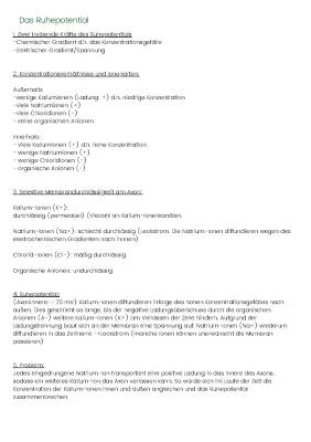 Know Neurobiologie: Das Ruhepotential thumbnail