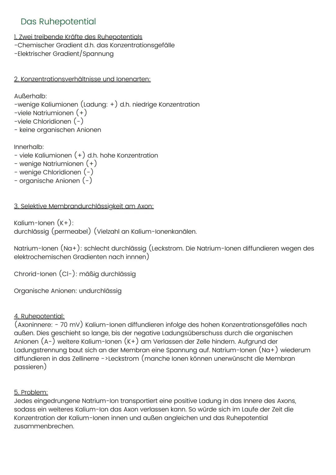 Das Ruhepotential
1. Zwei treibende Kräfte des Ruhepotentials
-Chemischer Gradient d.h. das Konzentrationsgefälle
-Elektrischer Gradient/Spa