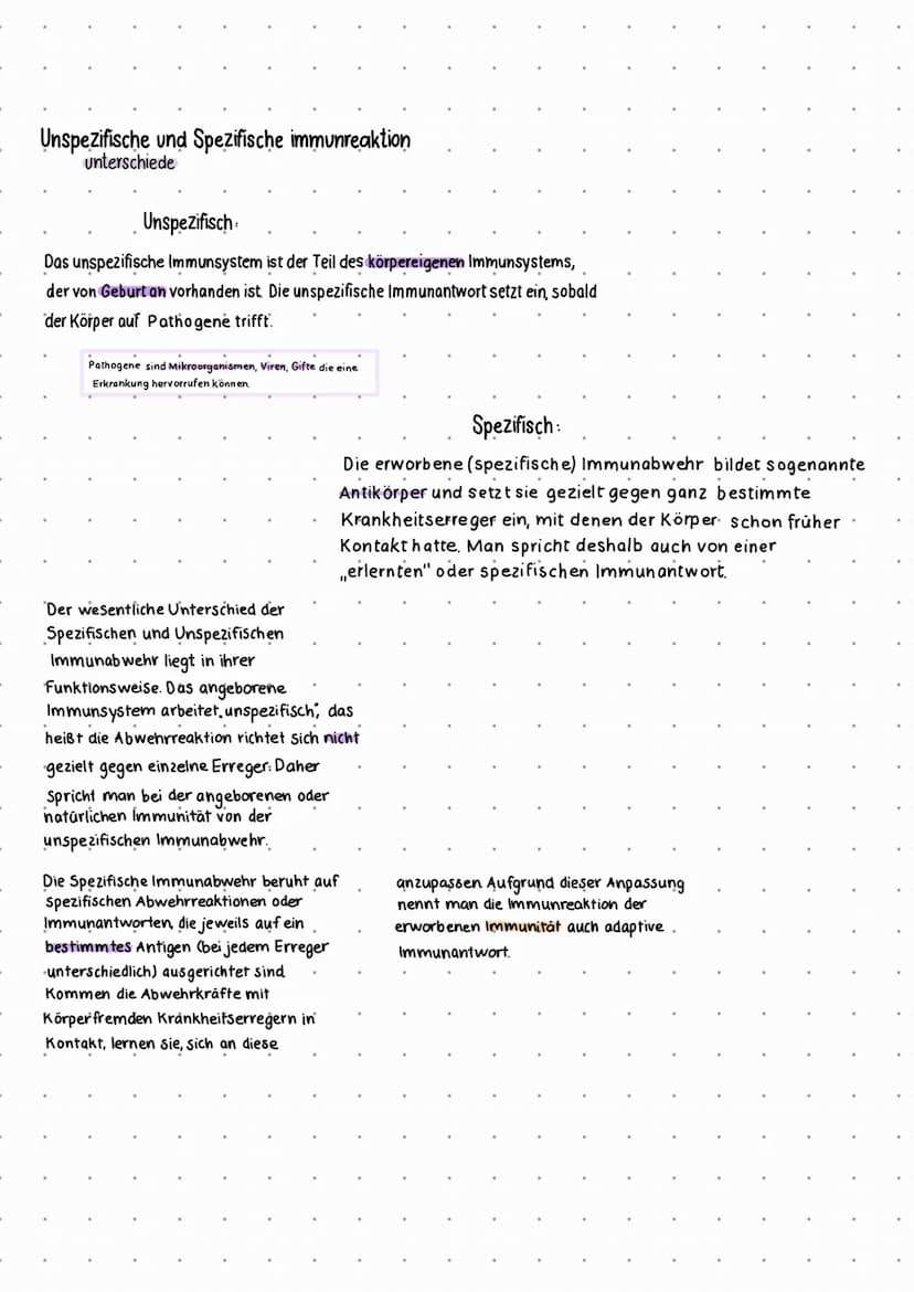Das Immunsystem
die Bestandteile
Plasmazelle Bilden. Antikörper die. perfekt
SPEZIFISCHES IMMUNSYSTEM
Definition:
Das Spezifische Immunsyste