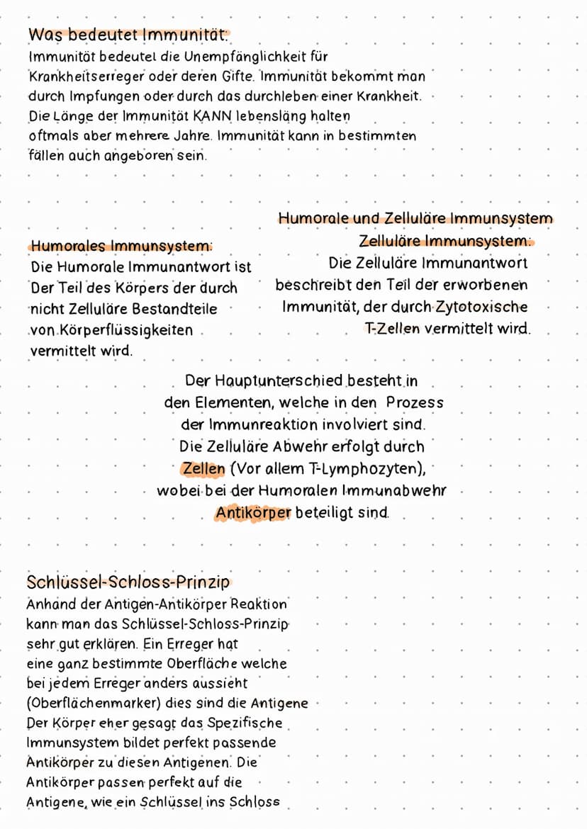 Das Immunsystem
die Bestandteile
Plasmazelle Bilden. Antikörper die. perfekt
SPEZIFISCHES IMMUNSYSTEM
Definition:
Das Spezifische Immunsyste