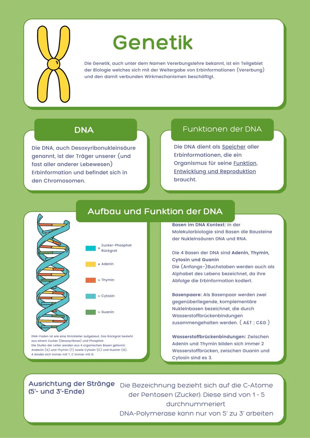 g
Genetik
Die Genetik, auch unter dem Namen Vererbungslehre bekannt, ist ein Teilgebiet
der Biologie welches sich mit der Weitergabe von Erb