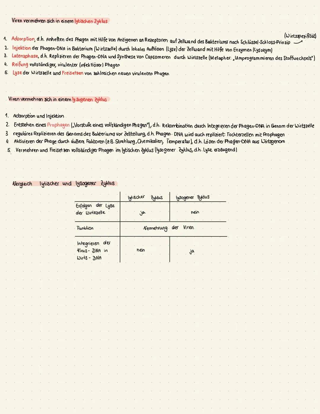 Struktur- und Funktionszusammenhänge des Immunsystems ableiten
1.1. Struktur und Vermehrung von Bakterien
Zellwand
-Zellmembran
Zellkern
-ze