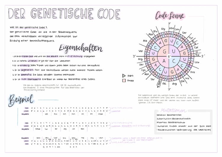 Know Proteinbiosynthese/ genetischer Code / DNA thumbnail