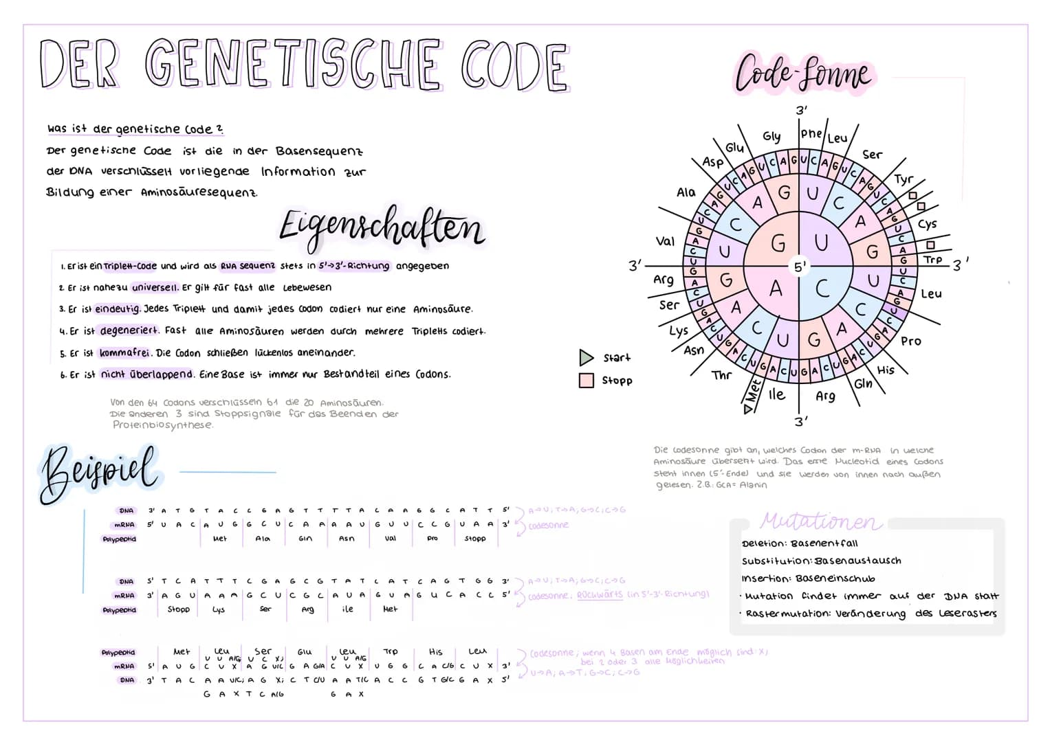 DER GENETISCHE CODE
was ist der genetische Code ?
Der genetische Code ist die in der Basensequenz
der DNA verschlüsselt vorliegende Informat