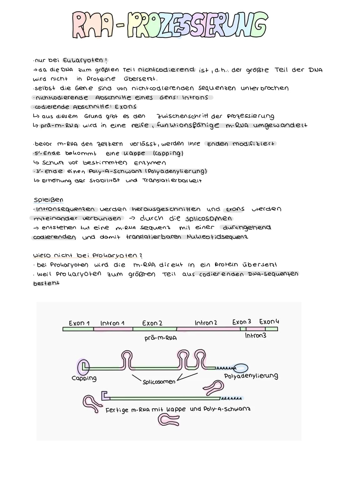 DER GENETISCHE CODE
was ist der genetische Code ?
Der genetische Code ist die in der Basensequenz
der DNA verschlüsselt vorliegende Informat