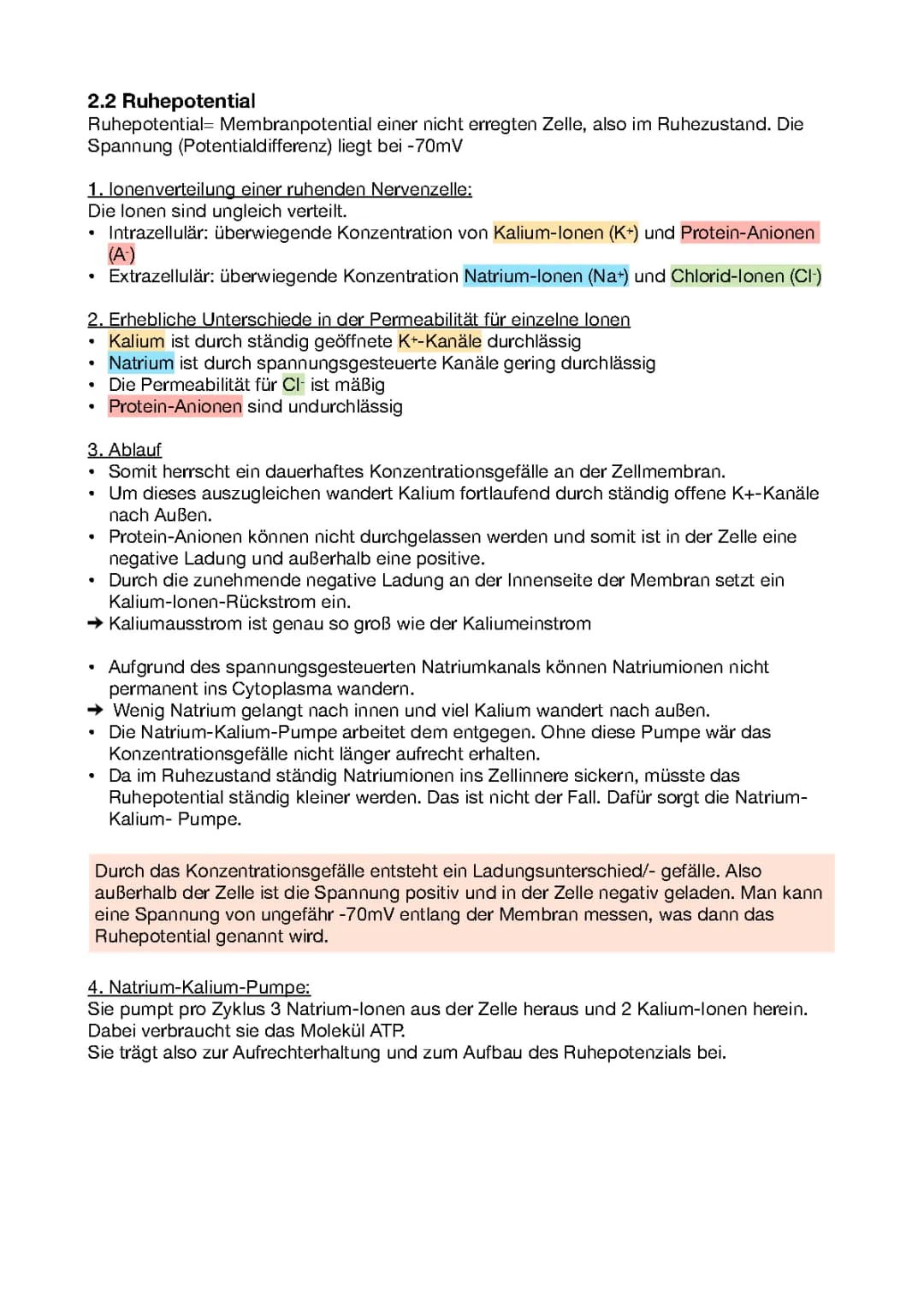 Das Ruhepotential 
