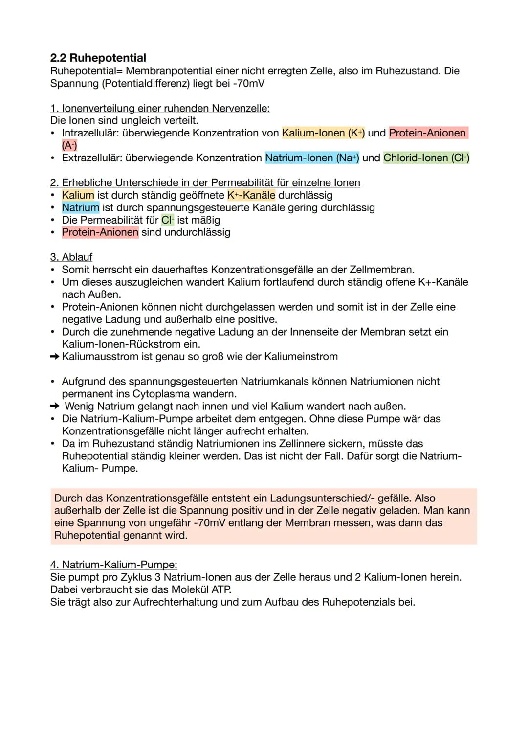 2.2 Ruhepotential
Ruhepotential Membranpotential einer nicht erregten Zelle, also im Ruhezustand. Die
Spannung (Potentialdifferenz) liegt be