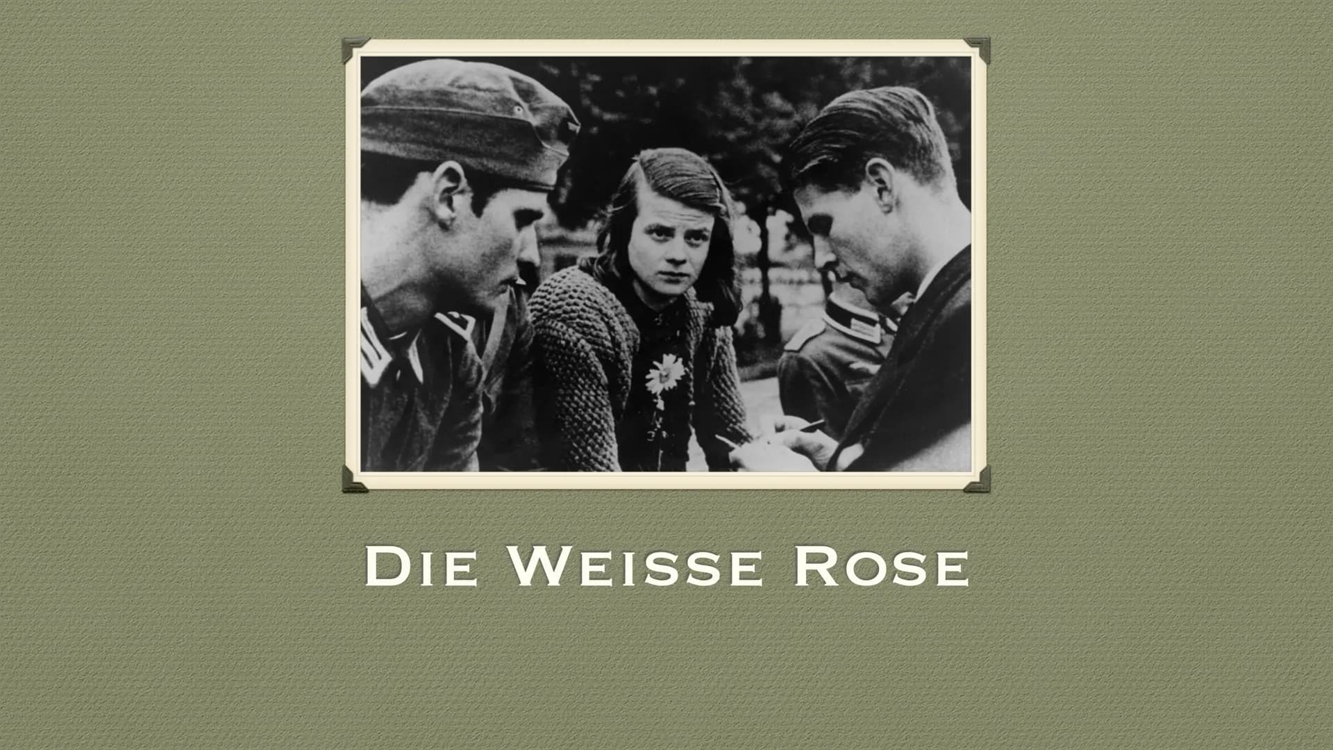 DIE WEISSE ROSE INHALT
ALLGEMEINE INFORMATIONEN
GRÜNDUNG
MITGLIEDER
AKTIONEN
INHALTE DER FLUGBLÄTTER
AUSZÜGE DER FLUGBLÄTTER
VERHAFTUNG UND 