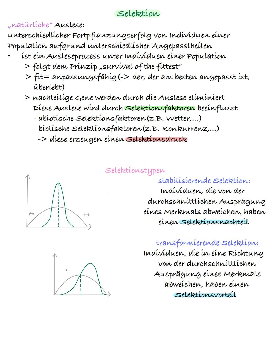 # Selektion

„natürliche" Auslese:

unterschiedlicher Fortpflanzungserfolg von Individuen einer
Population aufgrund unterschiedlicher Angepa