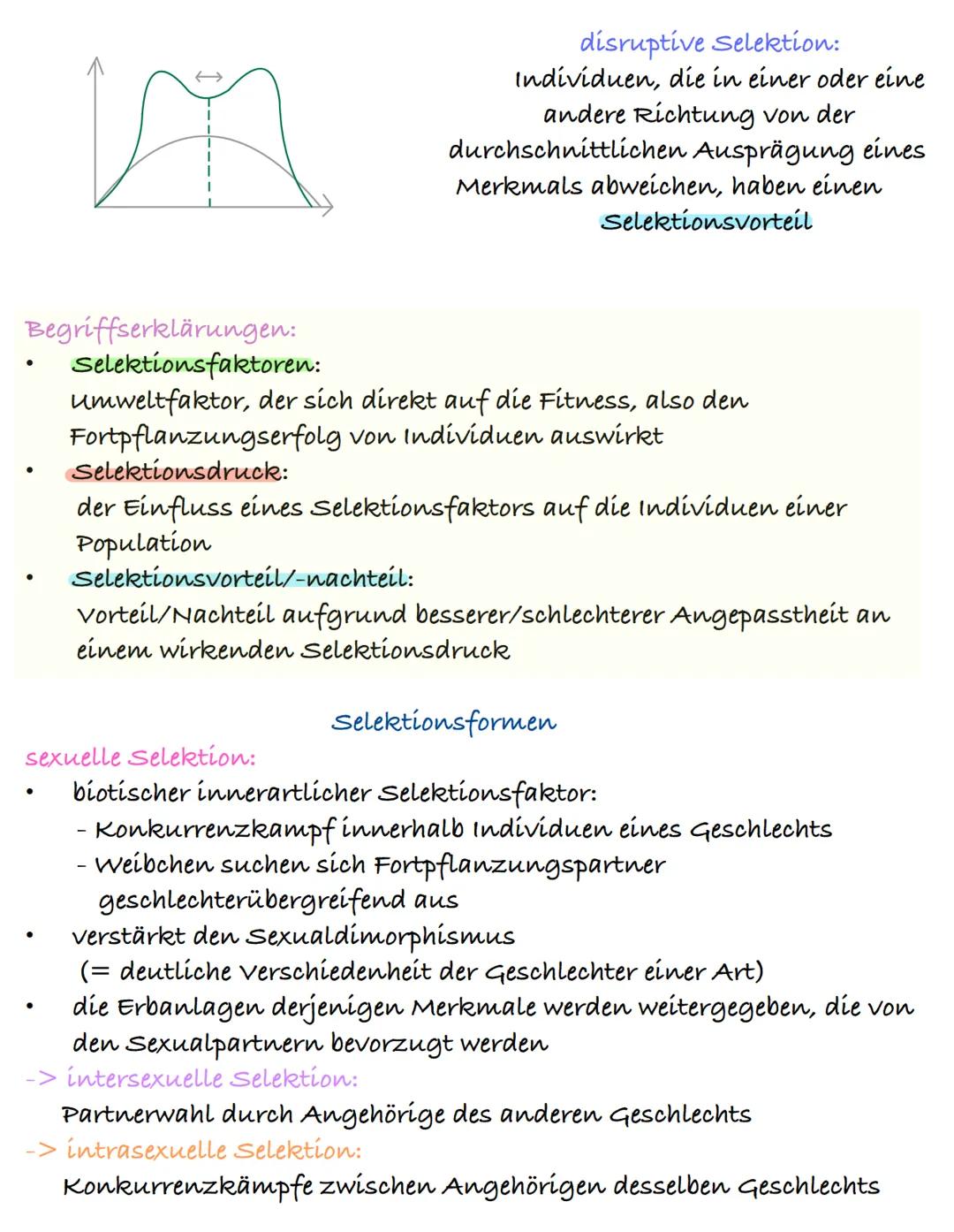 # Selektion

„natürliche" Auslese:

unterschiedlicher Fortpflanzungserfolg von Individuen einer
Population aufgrund unterschiedlicher Angepa