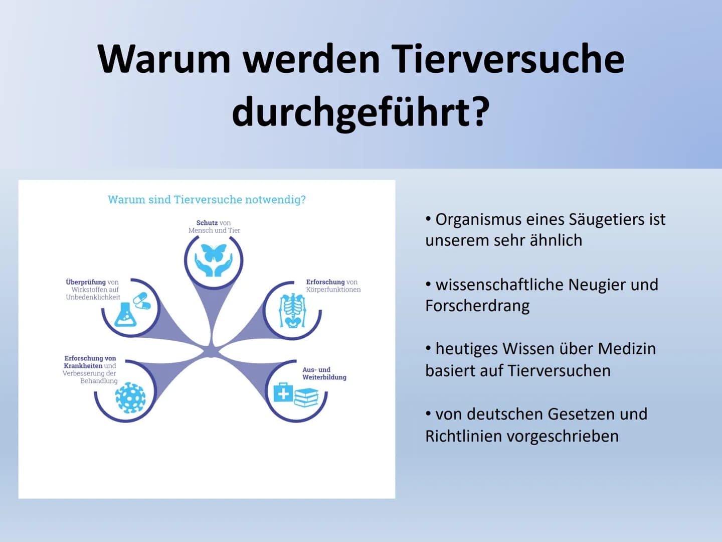 Tierversuche: 10 Gründe Pro und Contra - Alles über Tierversuche in Deutschland