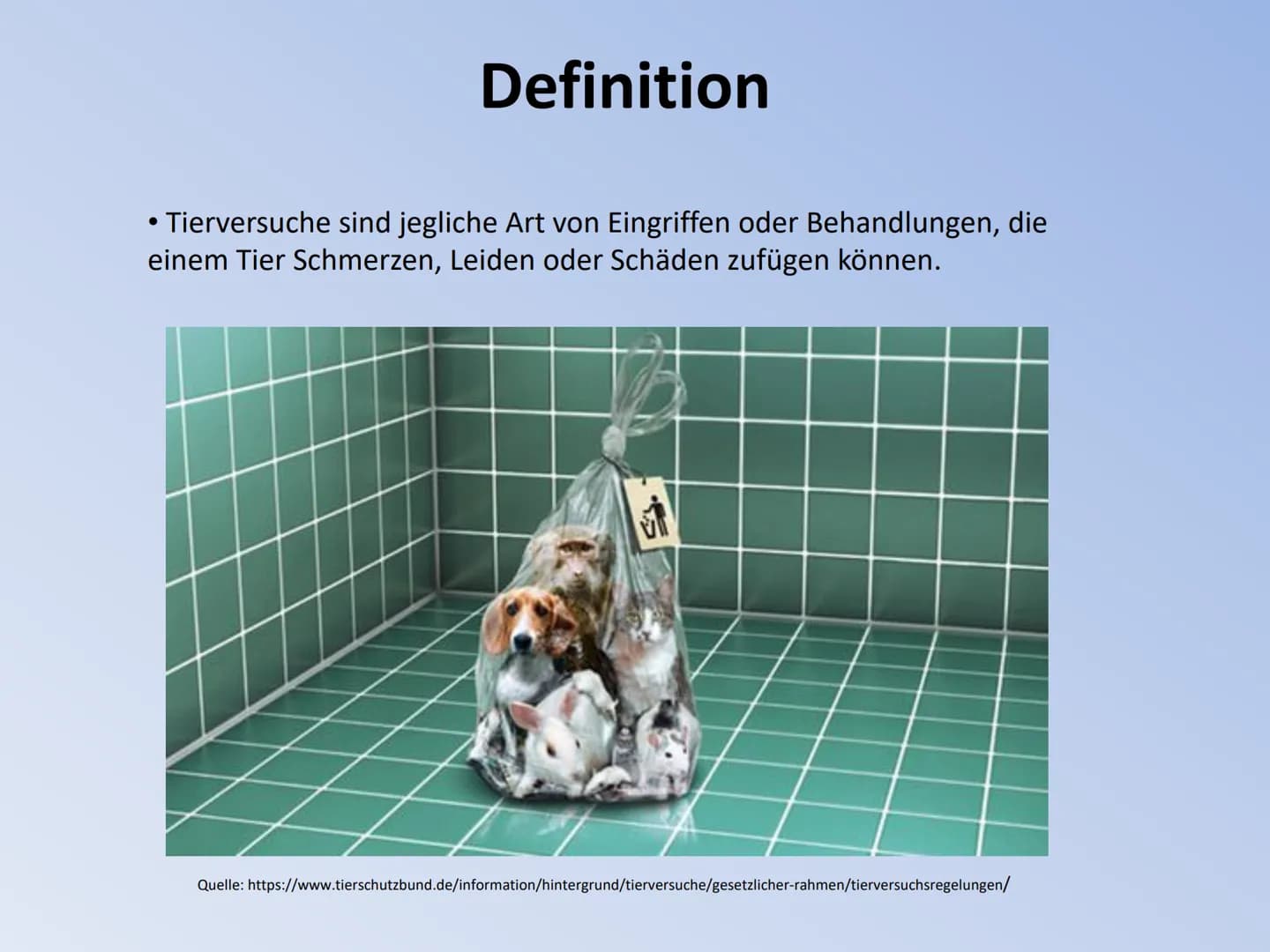 Vortrag von Ayleen Schild
Tierversuche
4X0
TIERVERSUCHE ●
Inhaltsverzeichnis
●
1. Die Definition und Fakten
2. Eingesetzte Tierarten
• 3. Ei