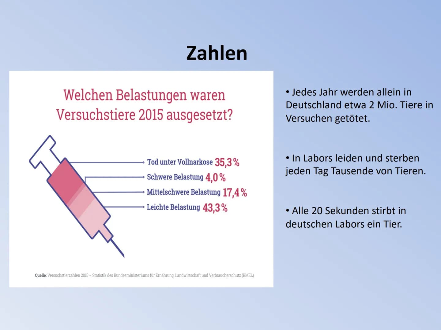 Tierversuche: 10 Gründe Pro und Contra - Alles über Tierversuche in Deutschland