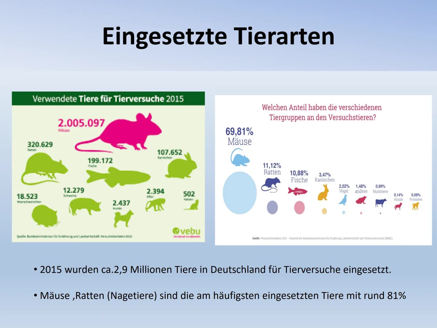 Tierversuche: 10 Gründe Pro und Contra - Alles über Tierversuche in Deutschland