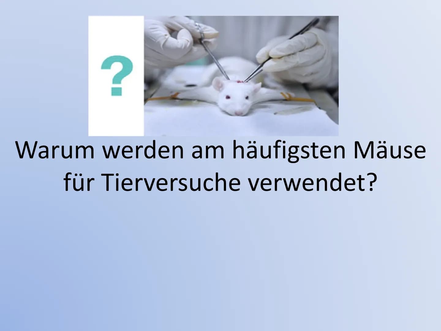 Tierversuche: 10 Gründe Pro und Contra - Alles über Tierversuche in Deutschland