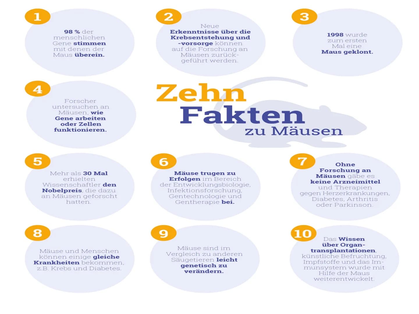 Tierversuche: 10 Gründe Pro und Contra - Alles über Tierversuche in Deutschland