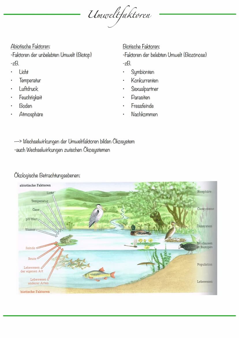 Ökologie
Ökologie: Interaktionen/Wechselbeziehungen der Lebewesen mit ihrer Umwelt
Lehre vom Haushalt der Natur
Ökosystem: dynamisches Bezie