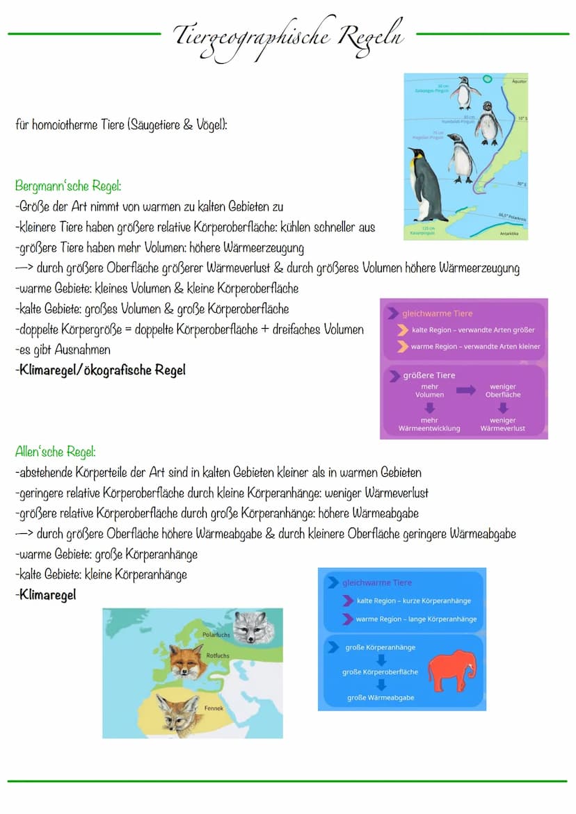Ökologie
Ökologie: Interaktionen/Wechselbeziehungen der Lebewesen mit ihrer Umwelt
Lehre vom Haushalt der Natur
Ökosystem: dynamisches Bezie