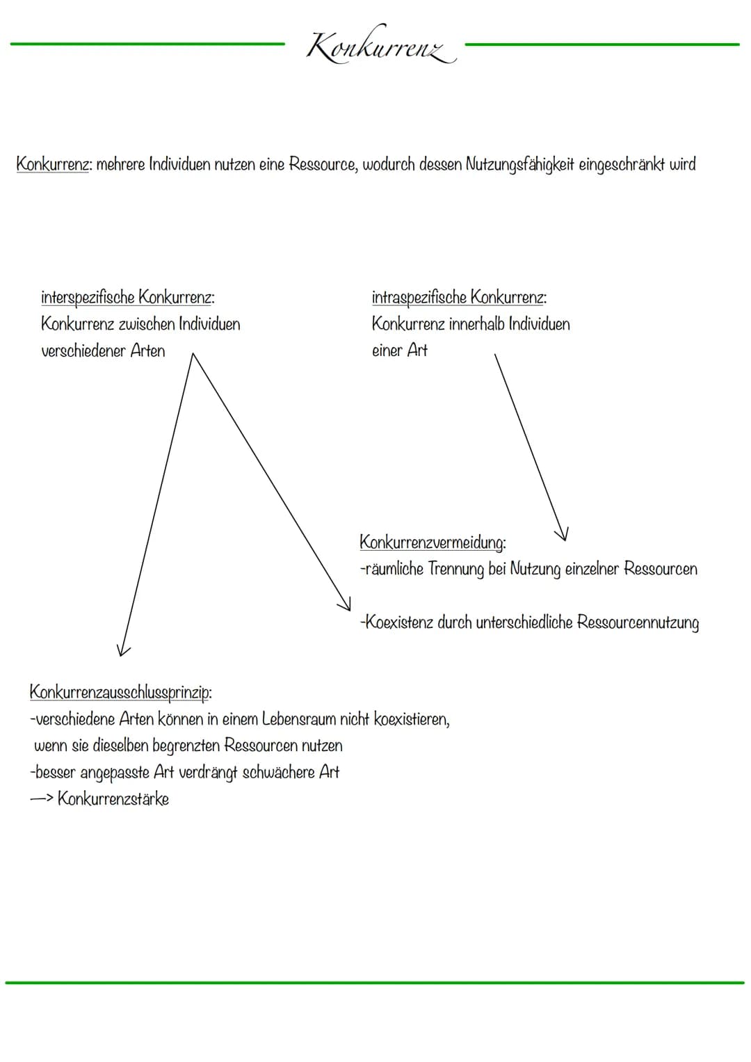 Ökologie
Ökologie: Interaktionen/Wechselbeziehungen der Lebewesen mit ihrer Umwelt
Lehre vom Haushalt der Natur
Ökosystem: dynamisches Bezie