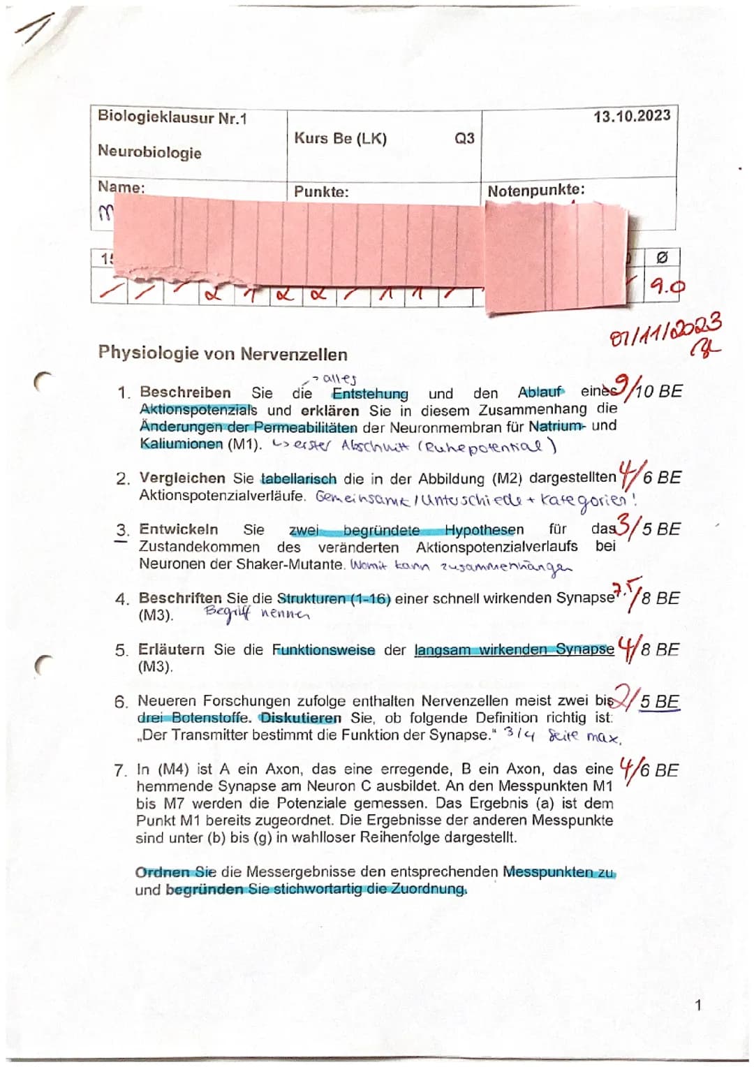 Biologie LK Klausur Q3, Neurobiologie