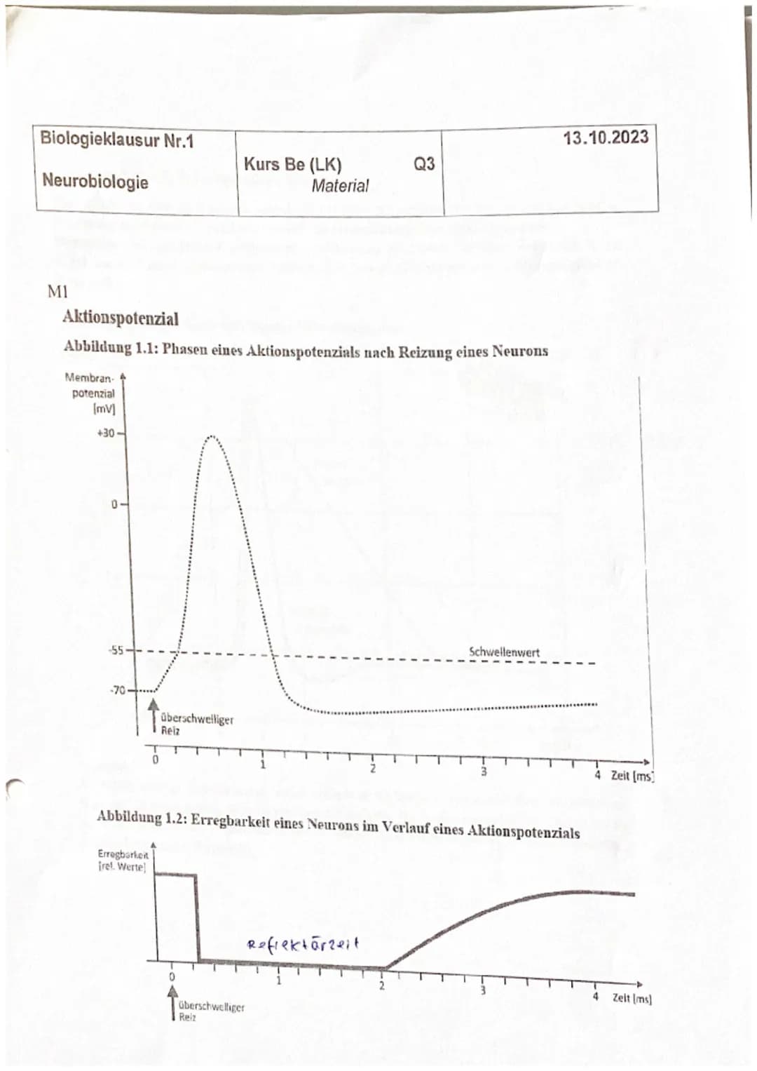 Biologieklausur Nr.1
Neurobiologie
Name:
3
19
Kurs Be (LK)
Q3
23
Punkte:
Notenpunkte:
13.10.2023
0
772722
Physiologie von Nervenzellen
- all