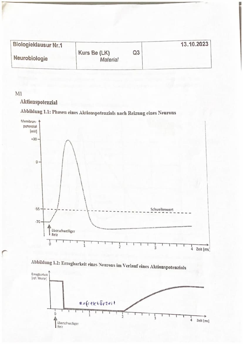 Biologieklausur Nr.1
Neurobiologie
Name:
3
19
Kurs Be (LK)
Q3
23
Punkte:
Notenpunkte:
13.10.2023
0
772722
Physiologie von Nervenzellen
- all