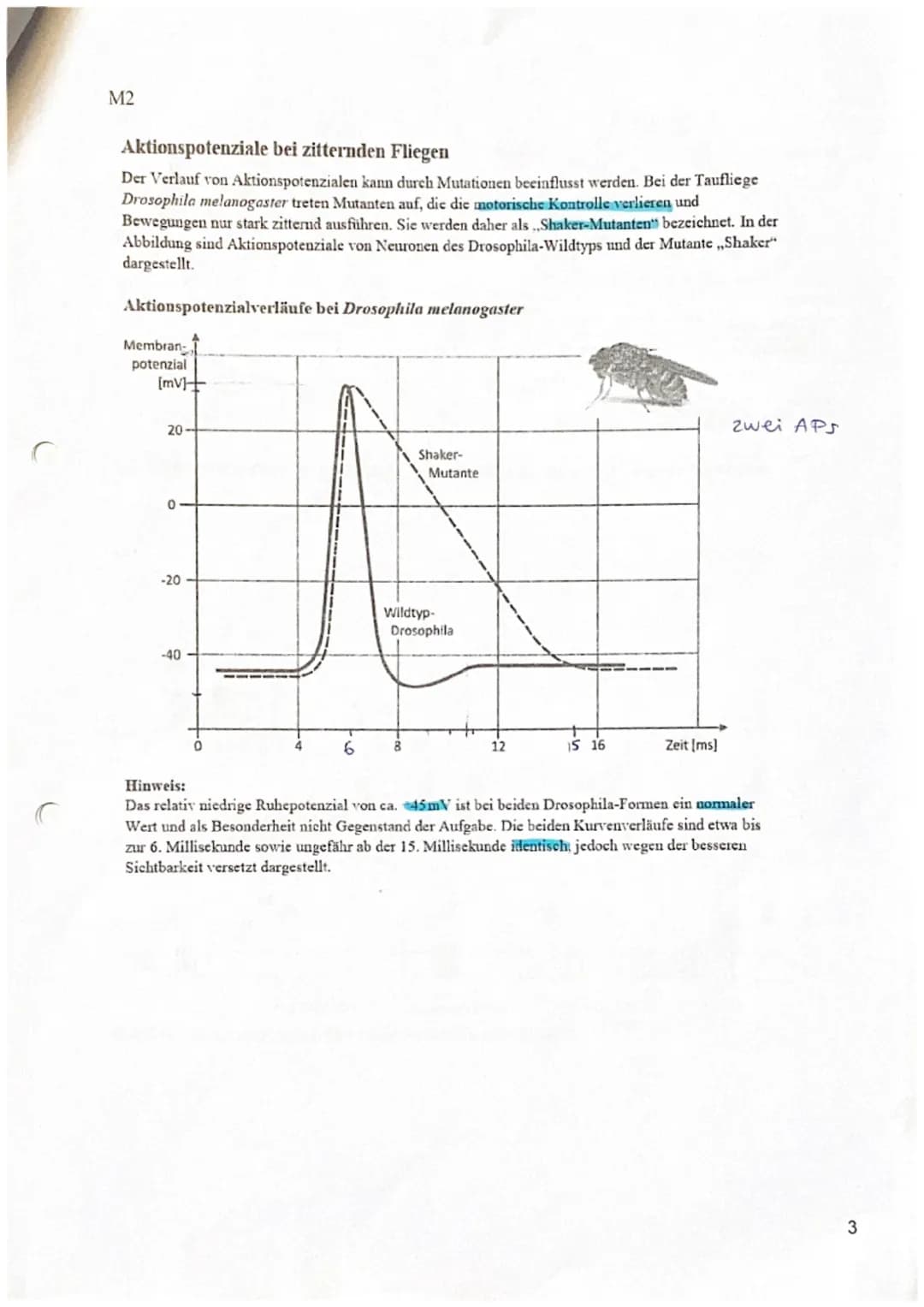 Biologieklausur Nr.1
Neurobiologie
Name:
3
19
Kurs Be (LK)
Q3
23
Punkte:
Notenpunkte:
13.10.2023
0
772722
Physiologie von Nervenzellen
- all