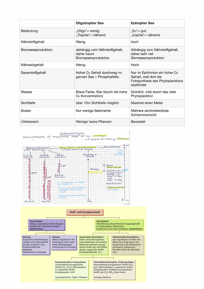 Ökosystem- See
Kennzeichen von Ökosysteme:
- komplexes Netz von Wechselwirkungen zwischen den abiotischen Faktoren eines bestimmten Biotops
