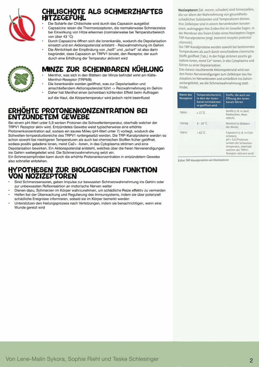 Signaltransduktion an primären Sinneszellen
Seite 320/321
PRIMÄRE SINNESZELLEN
Sind darauf spezialisiert Reize aus der Umwelt
aufzunehmen
Di