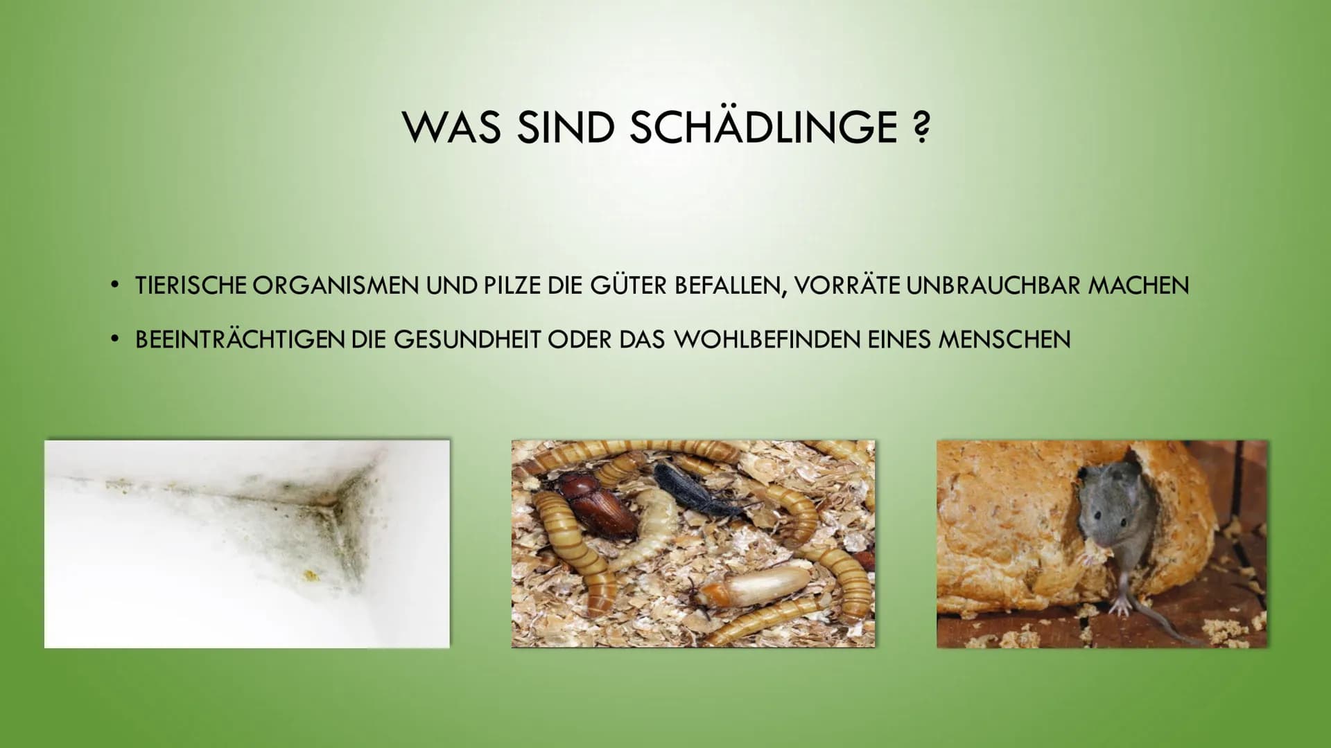 )
METHODEN UND PROBLEME DER
SCHÄDLINGSBEKÄMPFUNG ●
●
INHALTSVERZEICHNIS
WAS SIND SCHÄDLINGE?
ARTEN VON SCHÄDLINGEN
WAS BEDEUTET SCHÄDLINGSBE