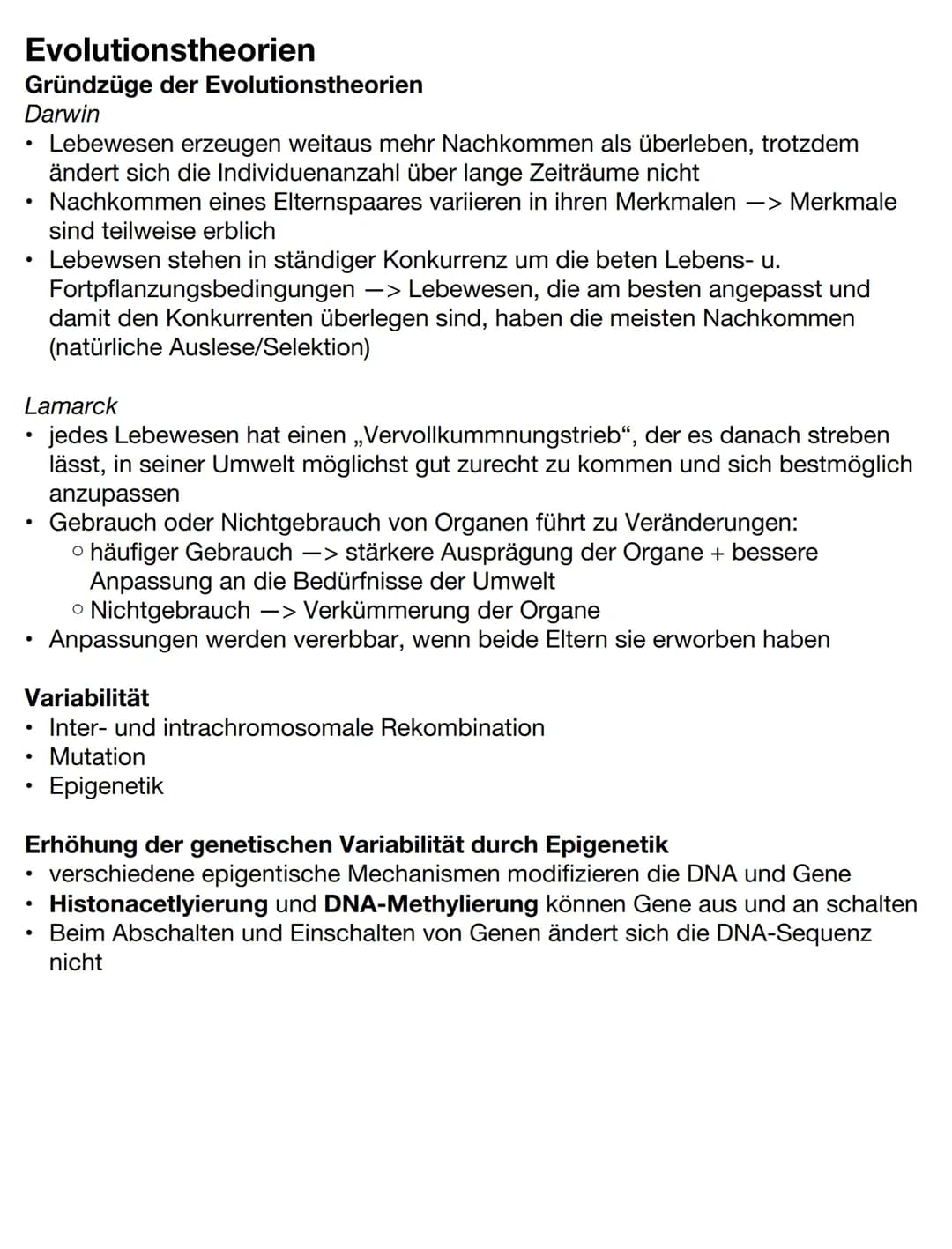 Evolution einfach erklärt: Biologie Zusammenfassung PDF für das Abitur