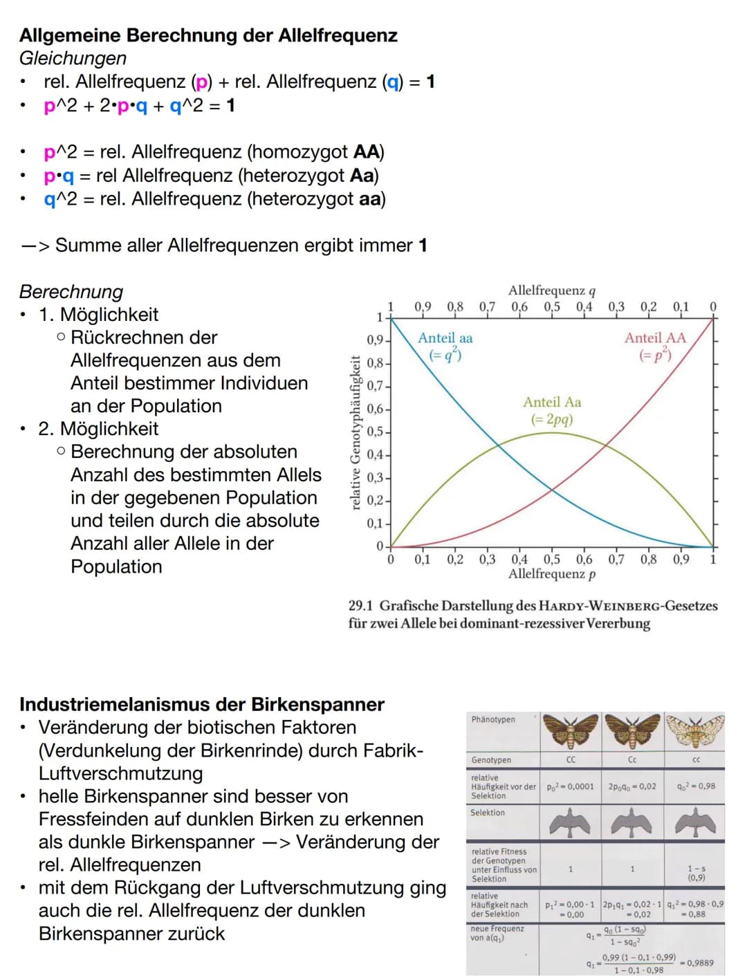 Evolutionstheorien
Gründzüge der Evolutionstheorien
Darwin
●
Lebewesen erzeugen weitaus mehr Nachkommen als überleben, trotzdem
ändert sich 