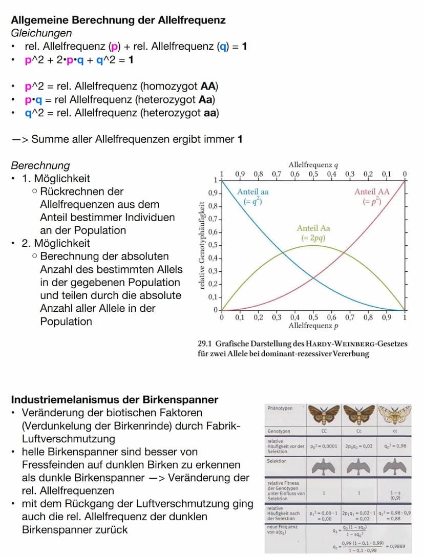 Evolutionstheorien
Gründzüge der Evolutionstheorien
Darwin
●
Lebewesen erzeugen weitaus mehr Nachkommen als überleben, trotzdem
ändert sich 