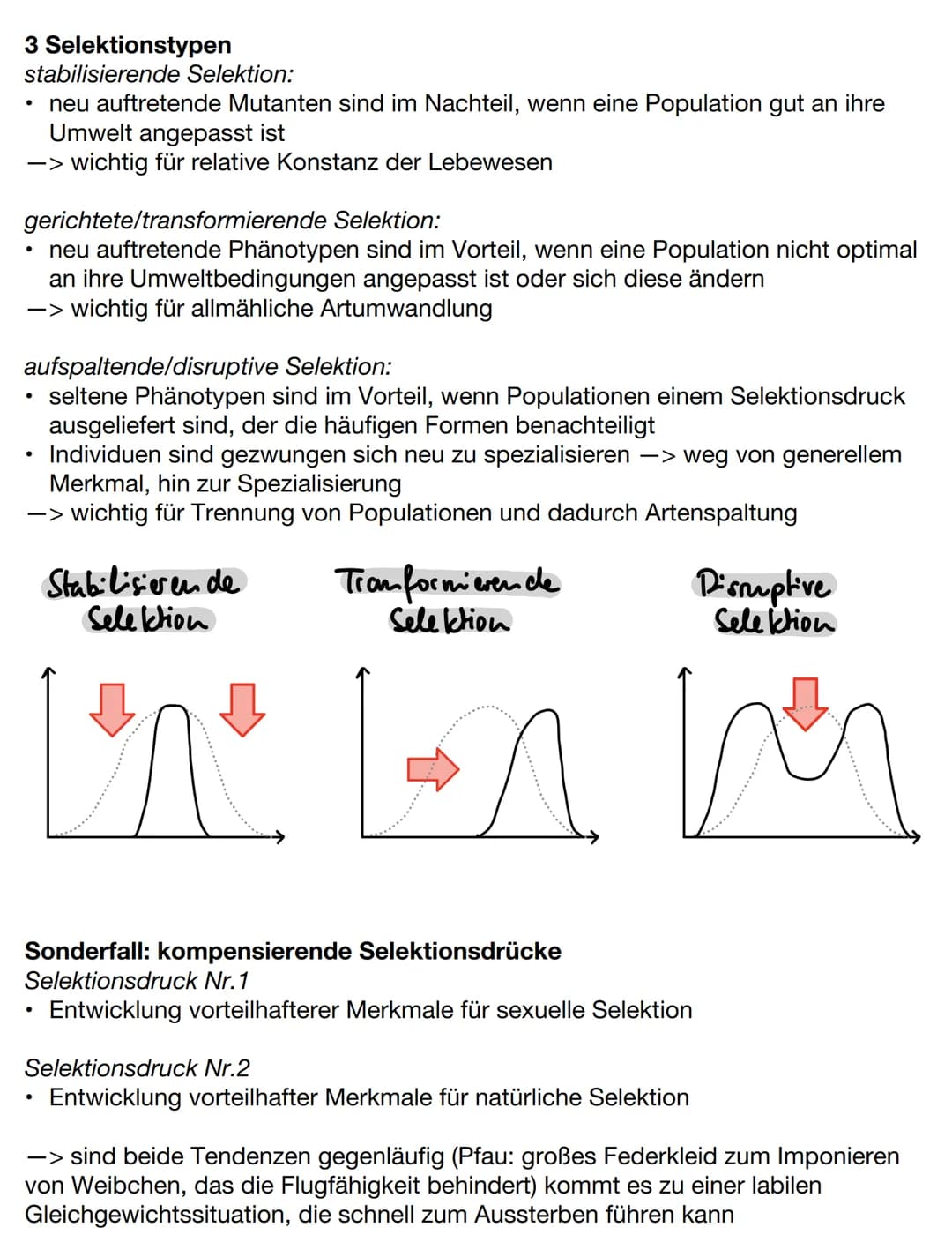 Evolutionstheorien
Gründzüge der Evolutionstheorien
Darwin
●
Lebewesen erzeugen weitaus mehr Nachkommen als überleben, trotzdem
ändert sich 