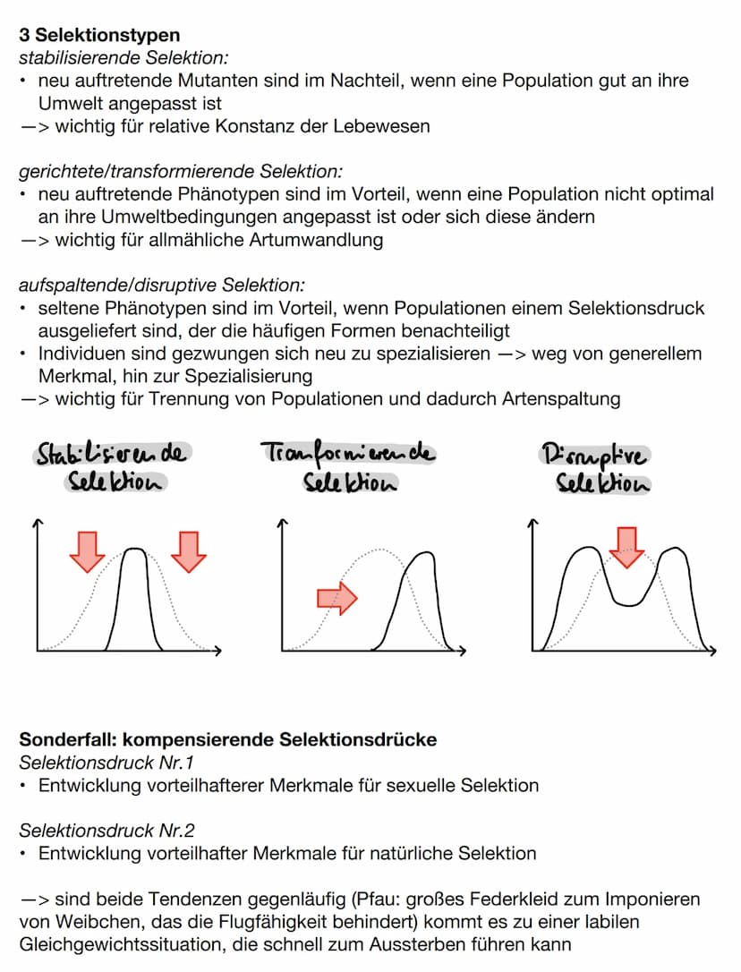 Evolutionstheorien
Gründzüge der Evolutionstheorien
Darwin
●
Lebewesen erzeugen weitaus mehr Nachkommen als überleben, trotzdem
ändert sich 