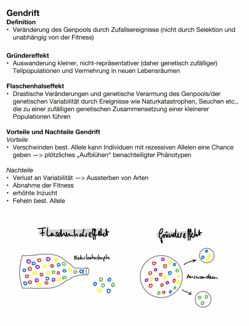 Evolutionstheorien
Gründzüge der Evolutionstheorien
Darwin
●
Lebewesen erzeugen weitaus mehr Nachkommen als überleben, trotzdem
ändert sich 