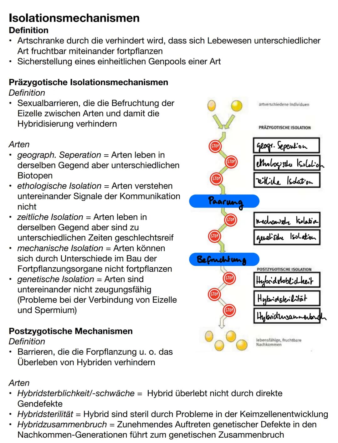 Evolutionstheorien
Gründzüge der Evolutionstheorien
Darwin
●
Lebewesen erzeugen weitaus mehr Nachkommen als überleben, trotzdem
ändert sich 