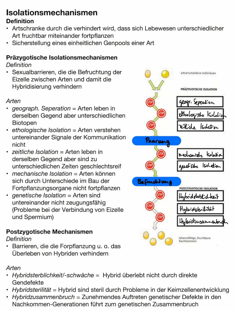 Evolutionstheorien
Gründzüge der Evolutionstheorien
Darwin
●
Lebewesen erzeugen weitaus mehr Nachkommen als überleben, trotzdem
ändert sich 